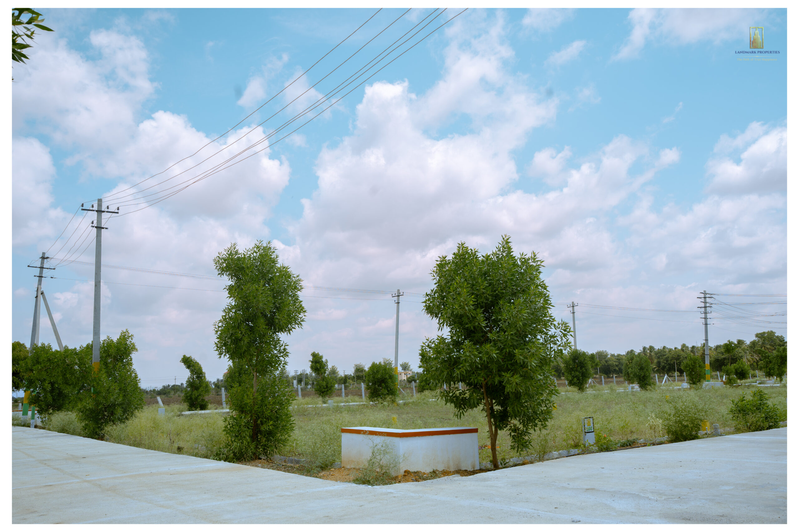 DSC01933
